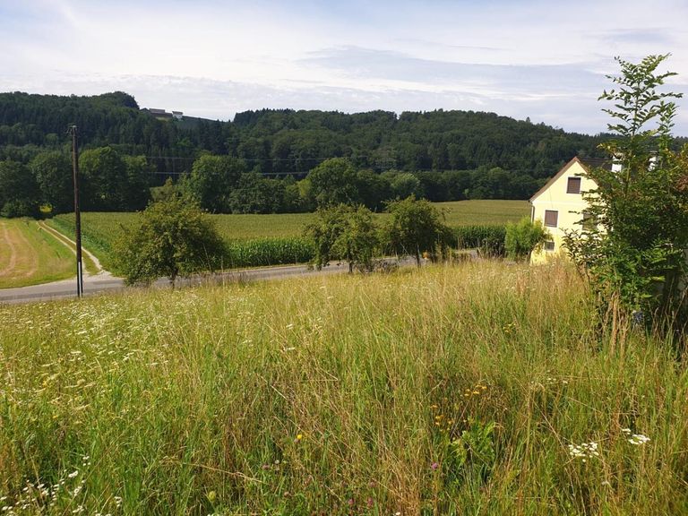 Grundstück