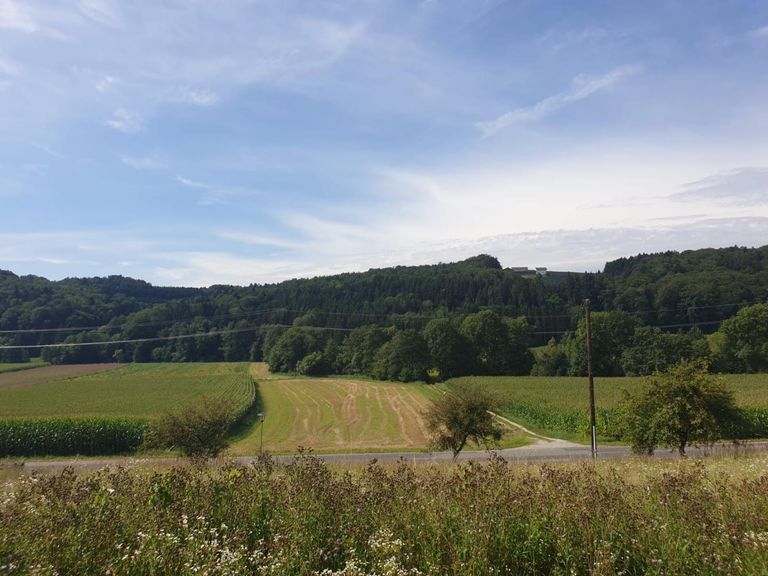 Grundstück