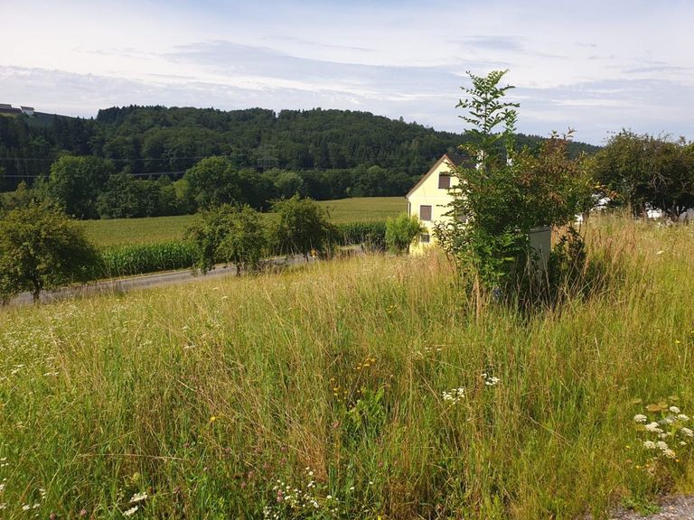 Grundstück