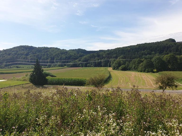 Grundstück