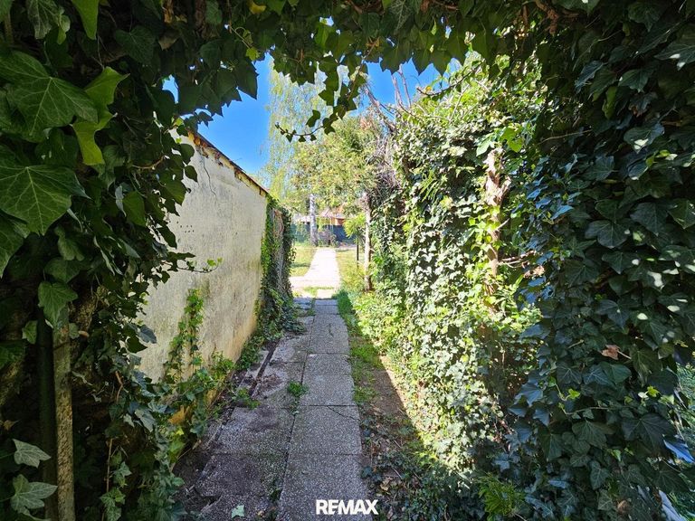 Garten (1)