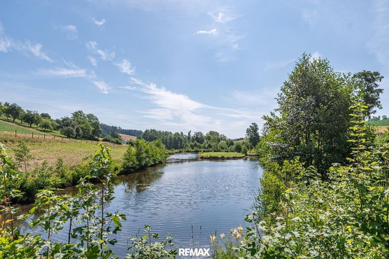 Teich 