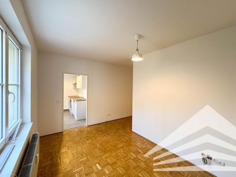 Wohn-/Esszimmer