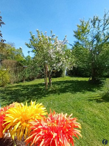 Blick vom Wohnzimmer in den Garten