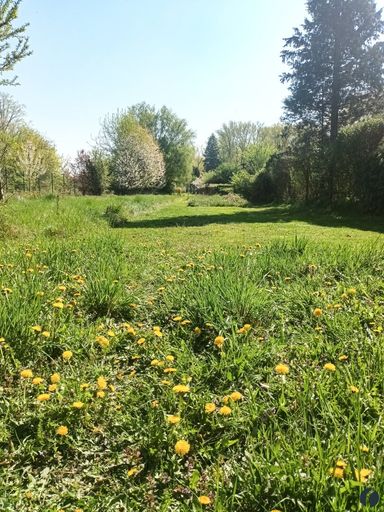 Wiese vor dem Grundstück