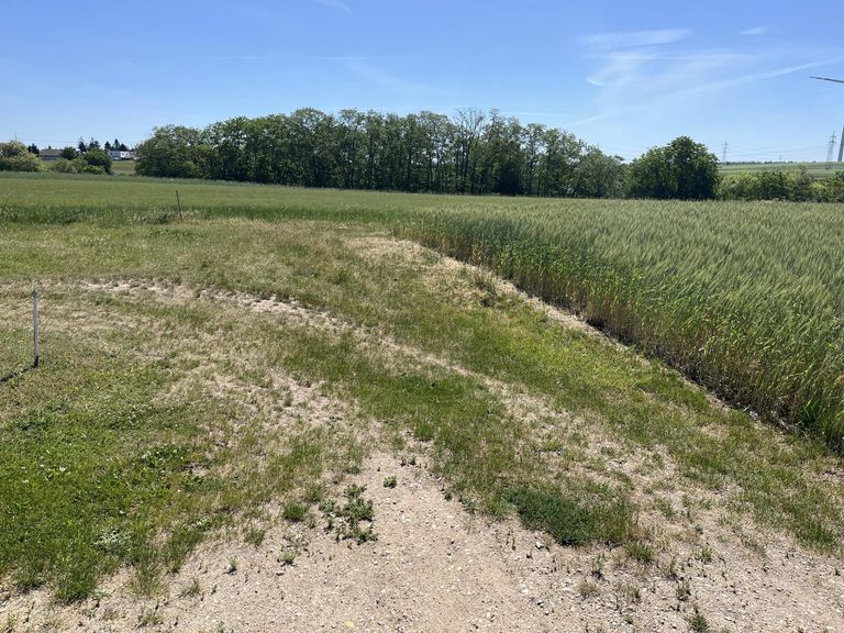 öffentliche Zufahrt zum hinteren Teil des Grundstü