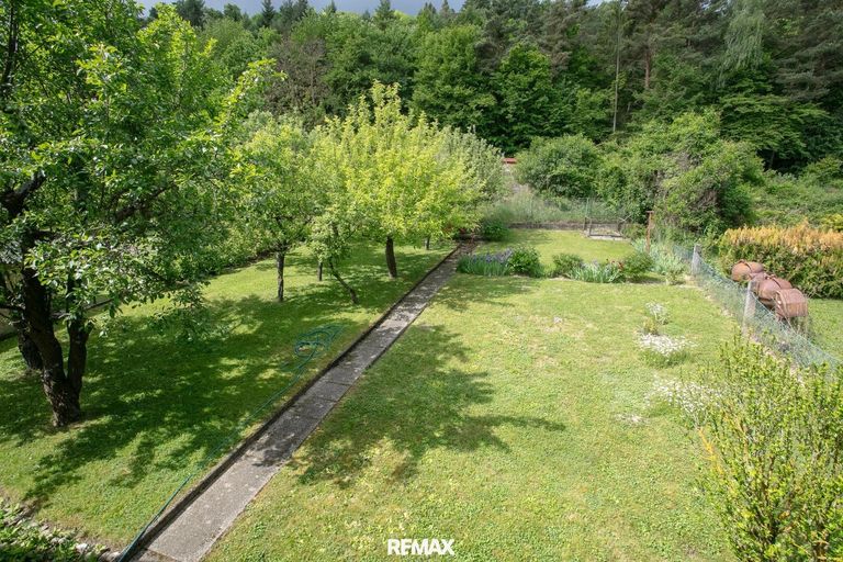 Blick in den Garten
