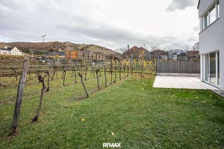 Garten mit Weinstöcken