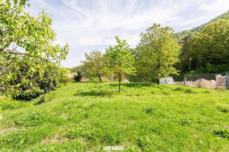 Garten_unbebautes Grundstück