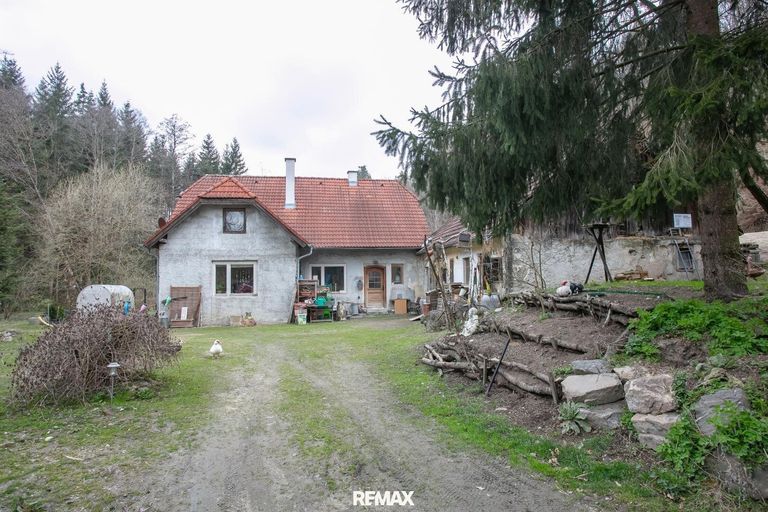 Haus