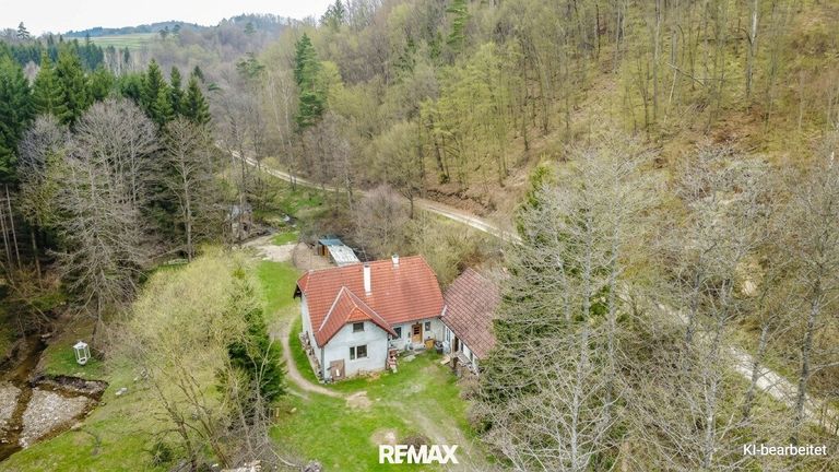 Ihr neues Zuhause ?!
