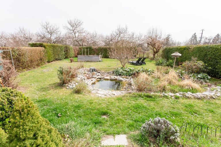 Garten I