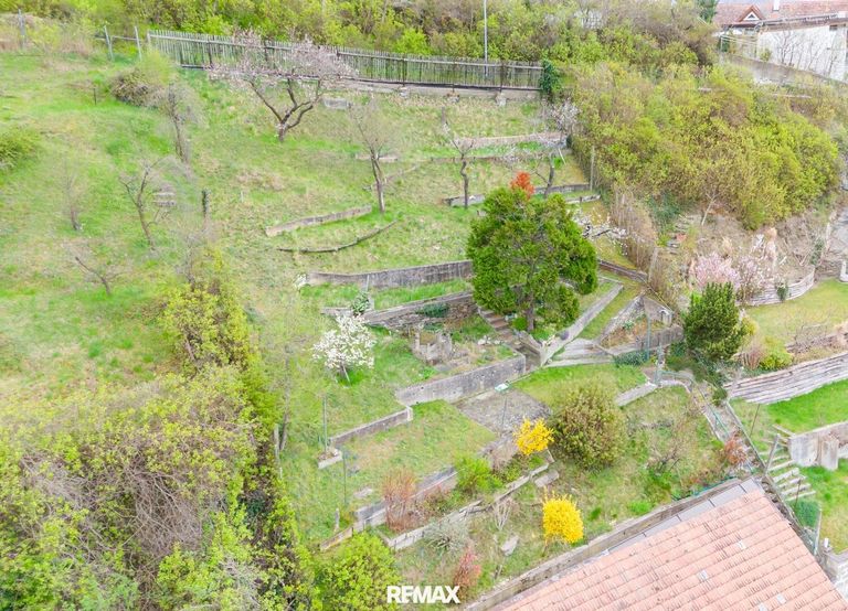Garten I