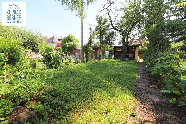 Garten 4