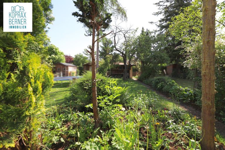 Garten 3