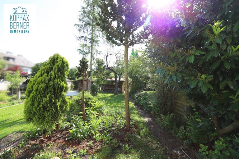 Garten 1