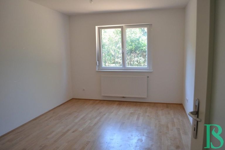 Zimmer