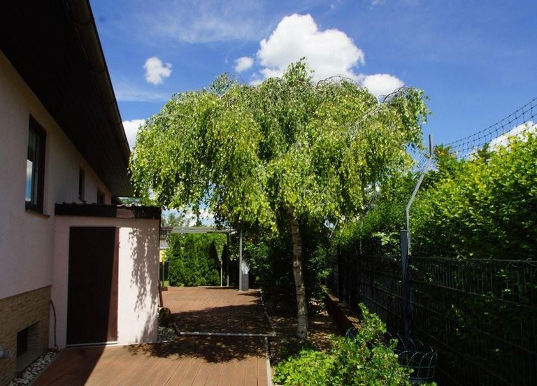33 Terrasse Kellerabgang EFH 2000