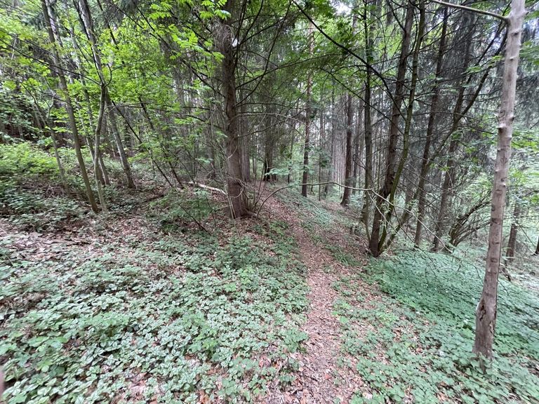 Blickrichtung Westen
