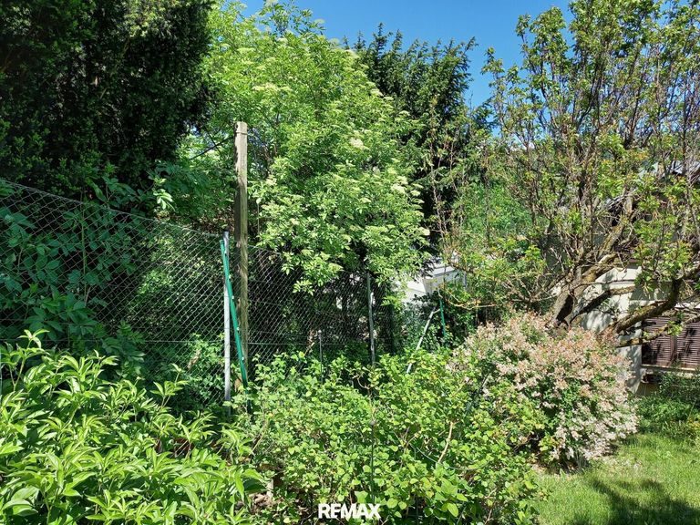 Garten Bild 2