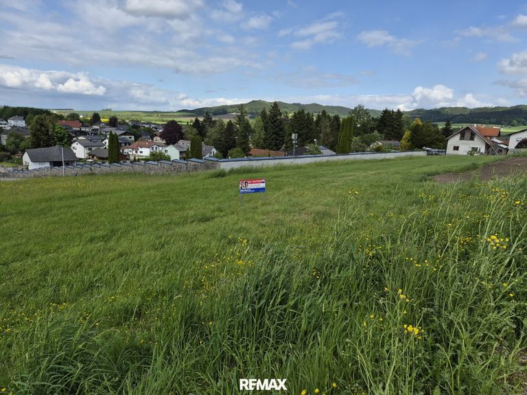 Ausblick