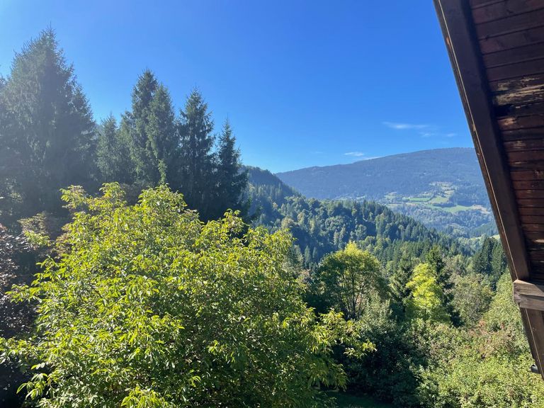 Ausblick