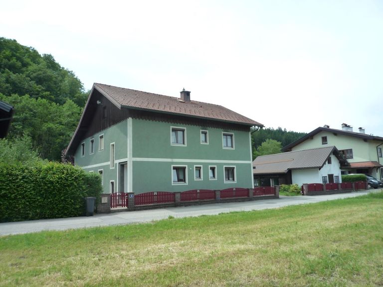 Frontansicht 1