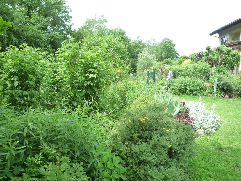 Gartenanlage