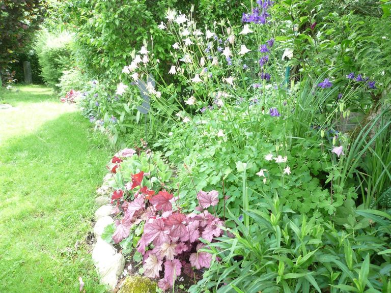 Garten 1
