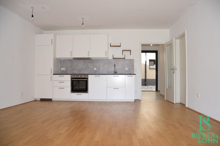 Wohnraum/Küche/Blick Vorraum