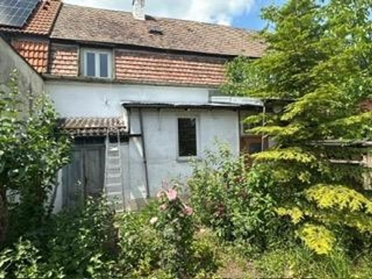 10 Garten