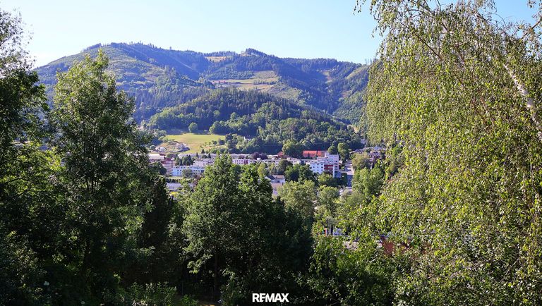 Weitblick