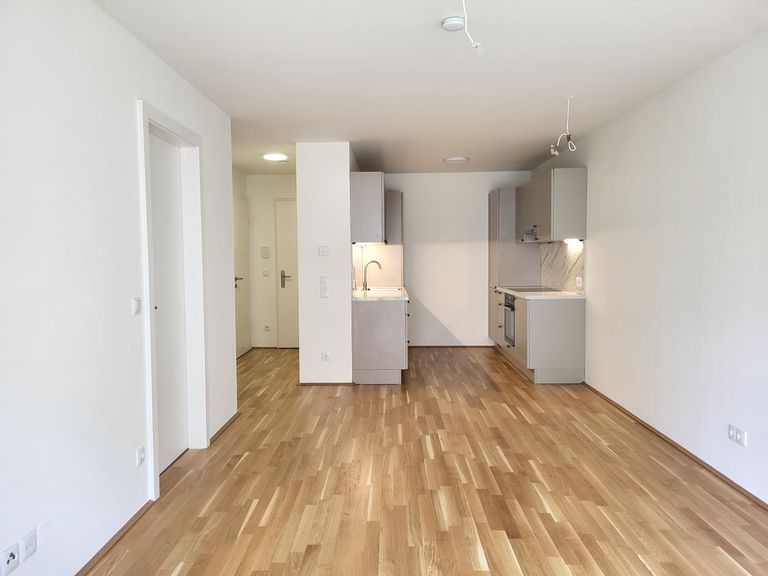 Wohnzimmer mit Küche