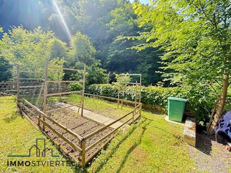 Gemüsegarten