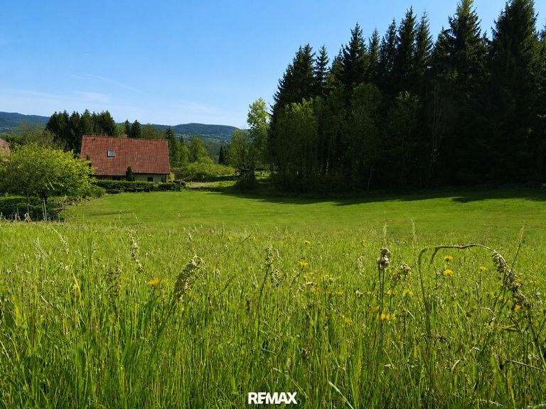 Grundstücke m. Wald