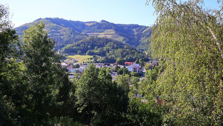 Weitblick