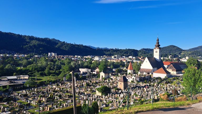 Blick über den Friedhof zur Stadt