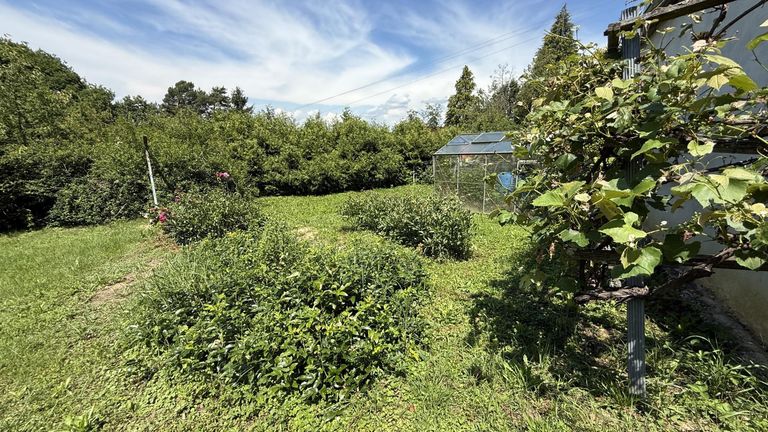 Gemüsegarten