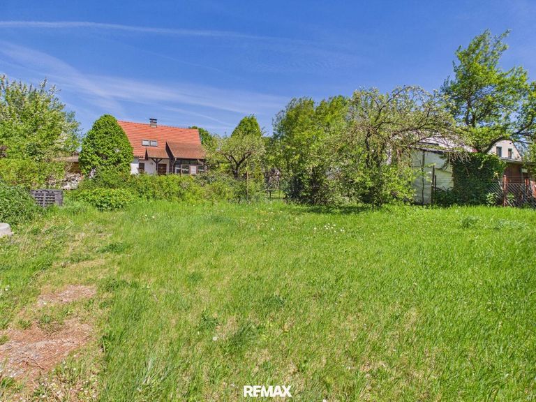 7799-Garten 