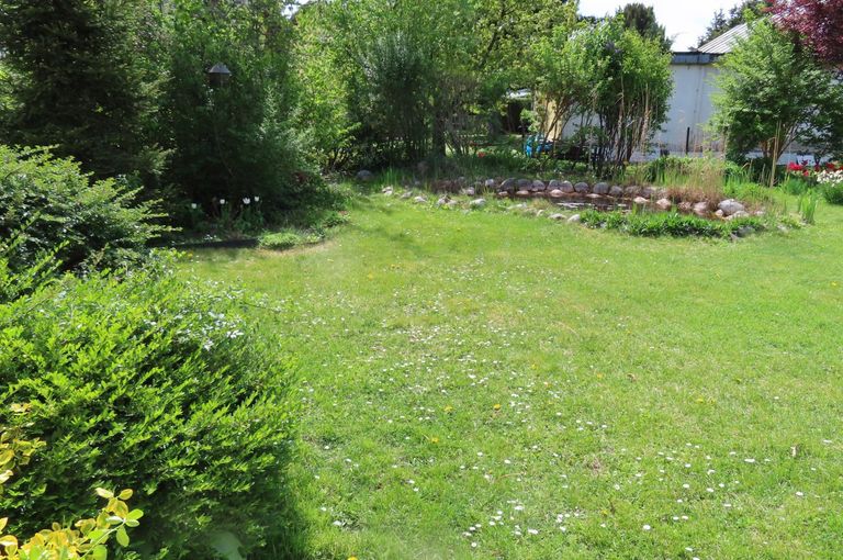 Garten mit Biotop