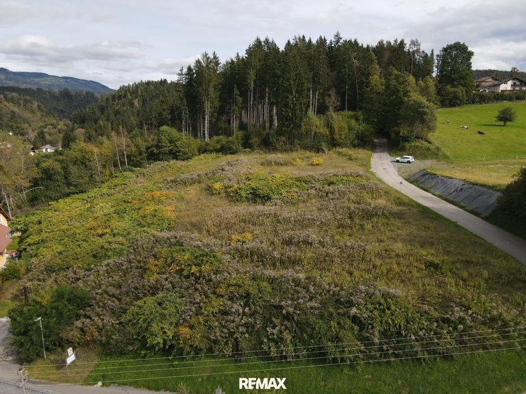 DJI_0037