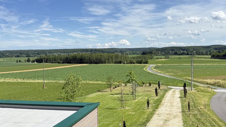 Ausblick vom OG