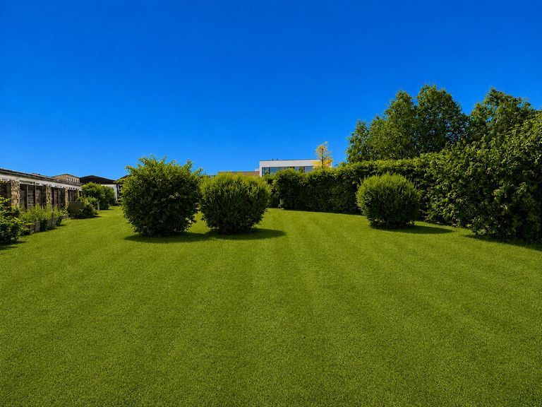 Garten mit Potential Betriebsbaugebiet
