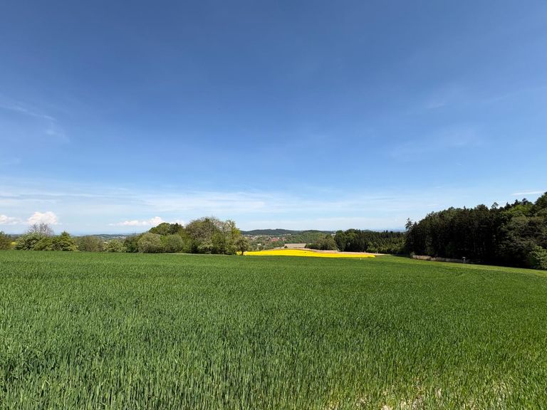 Grundstück