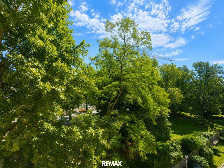 Blick in Grüne