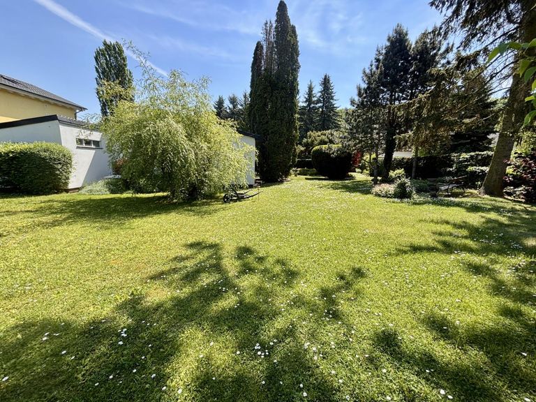Blick von hinterem Gartenbereich Richtung Haus