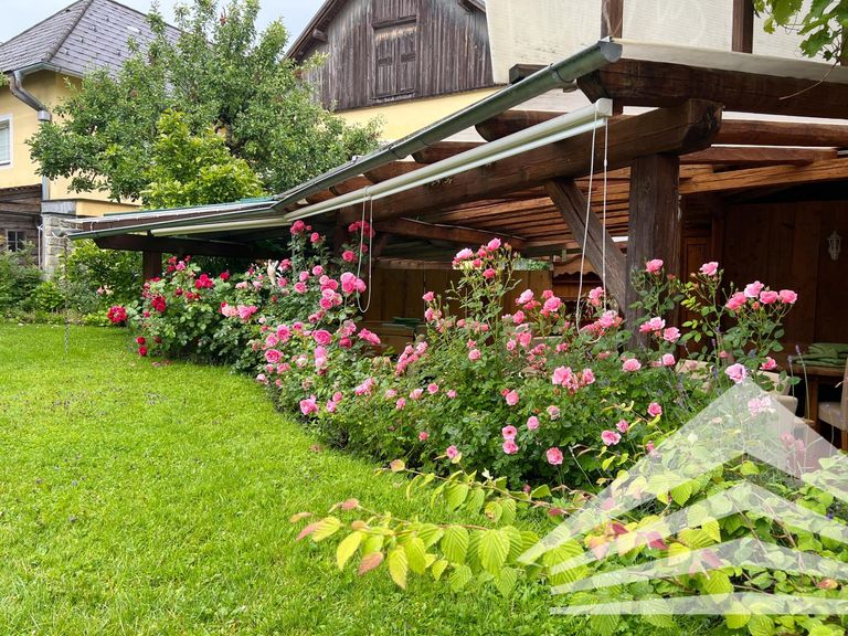 Ansicht Garten / Laube