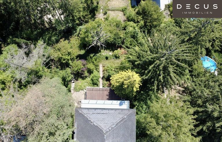 DECUS Immobilien GmbH