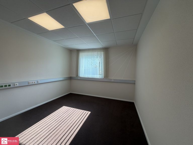 Büro 5