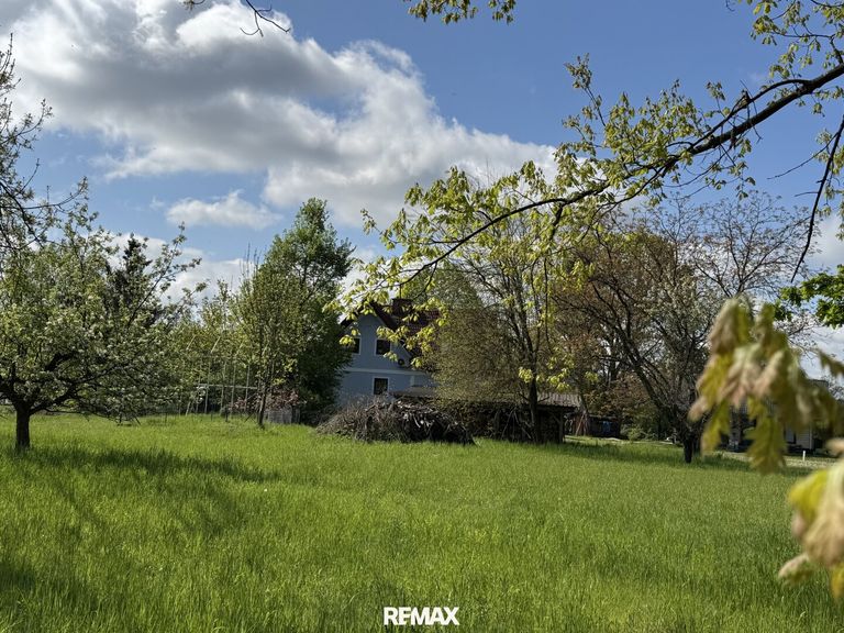 Blick Rückseite
